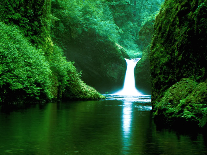 Forest_Waterfall_xl - tOt fElUl dE lUcRuRi vErzI