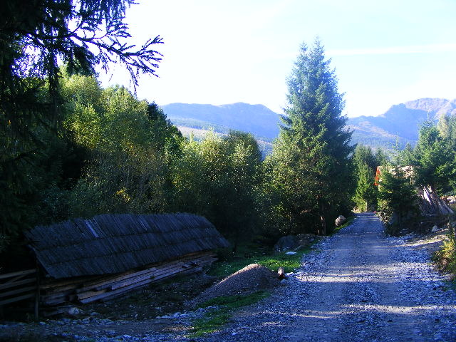 DSCF6413 - muntii Rodnei