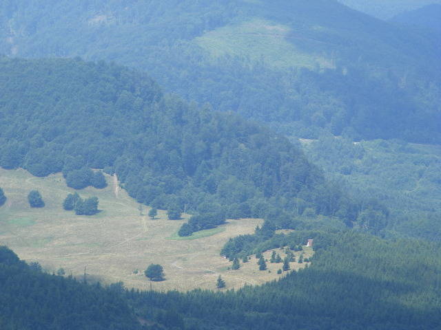 DSCF3073