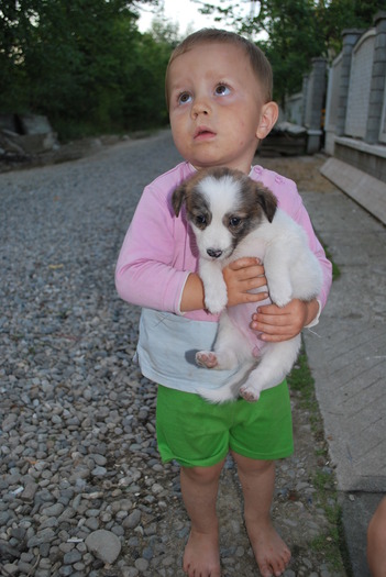 Mm 516; pe ulita la Ocna Sugatag
