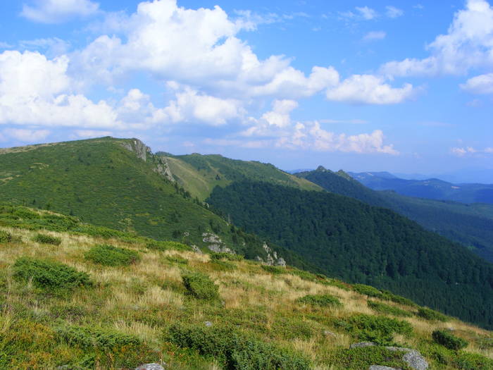 DSCF4476