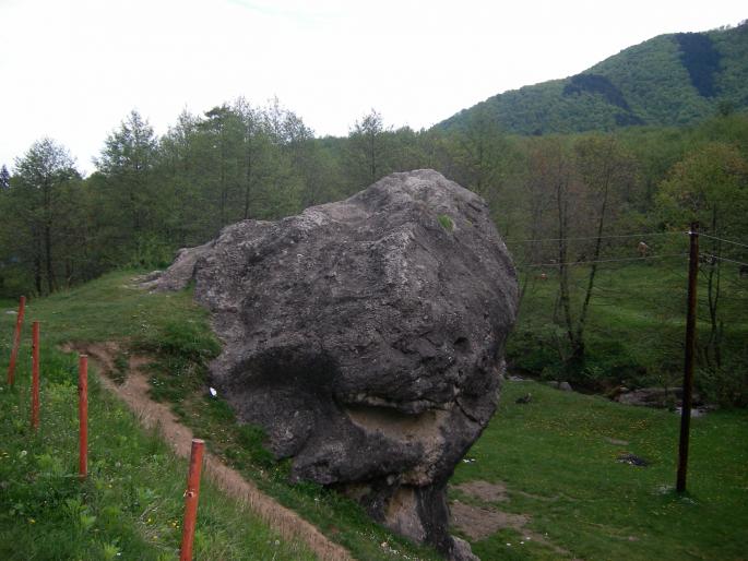 Stinca Broastei-Cisnadioara - Excursii 2008