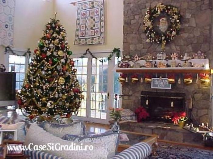 living-brad-craciun - Craciun