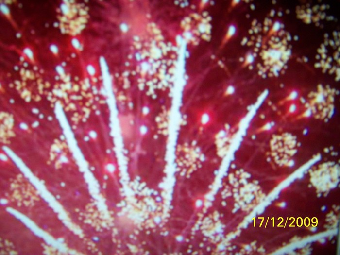 100_7060 - 1 Decembrie Timisoara