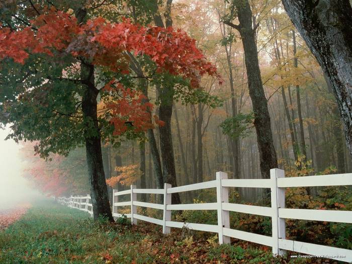 Autumn Splendor - Very Beautiful Nature Scenes