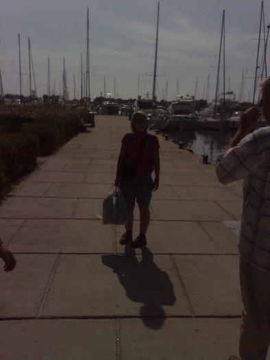 Imagine1247 - ApiMondia