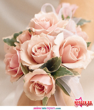 d743c096_0050000851826_00_600