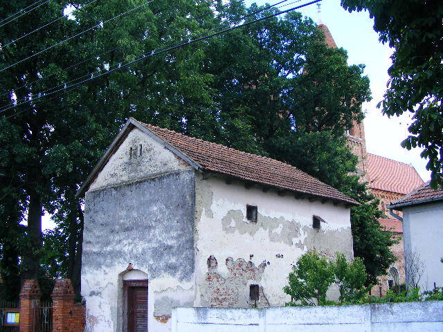 DSCF3985 - Tasnad iulie 2009