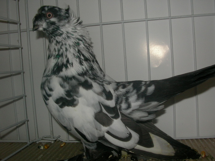 SANY0123
