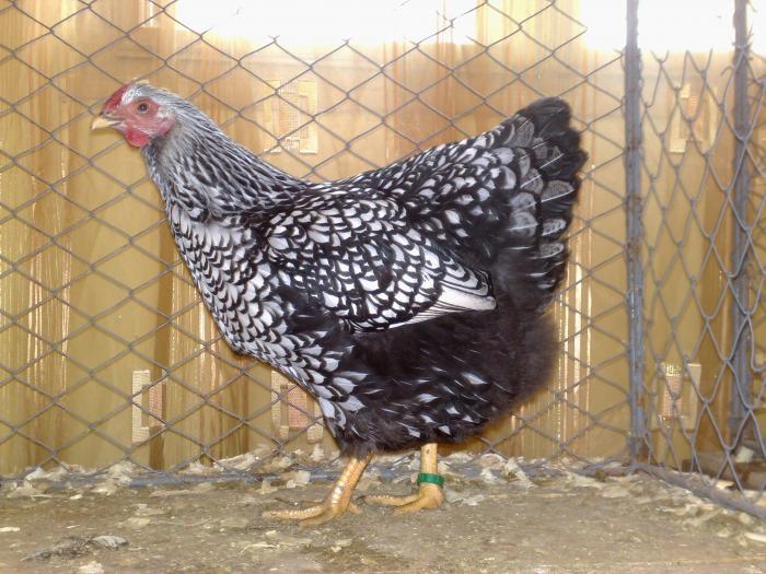 2009-02-15_14-37-26_150220091155