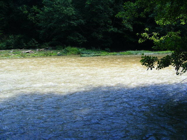 DSCF2617