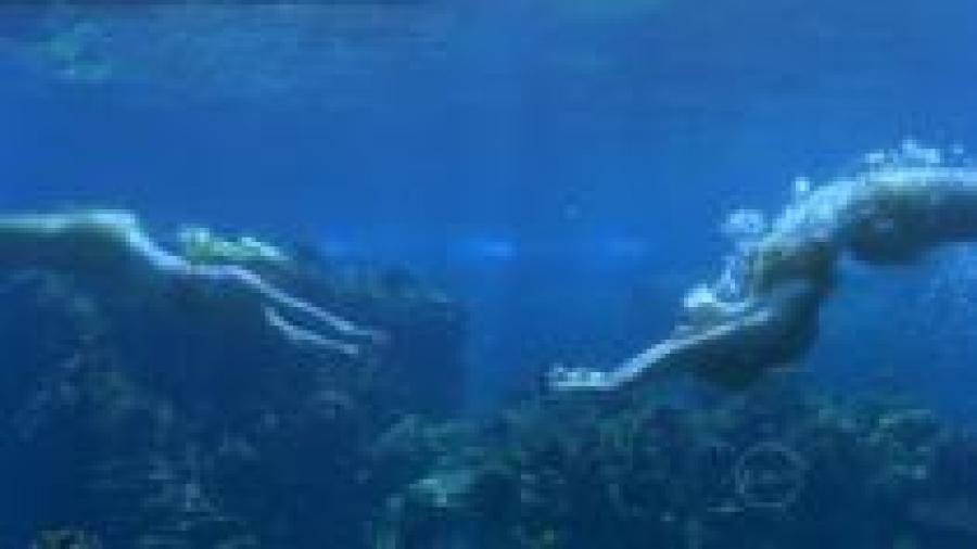 IRITEBMRTORJEHVEXLB - h2o