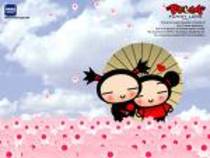 pucca (40) - pucca