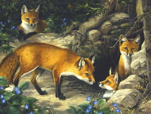 Fox Family_jpg