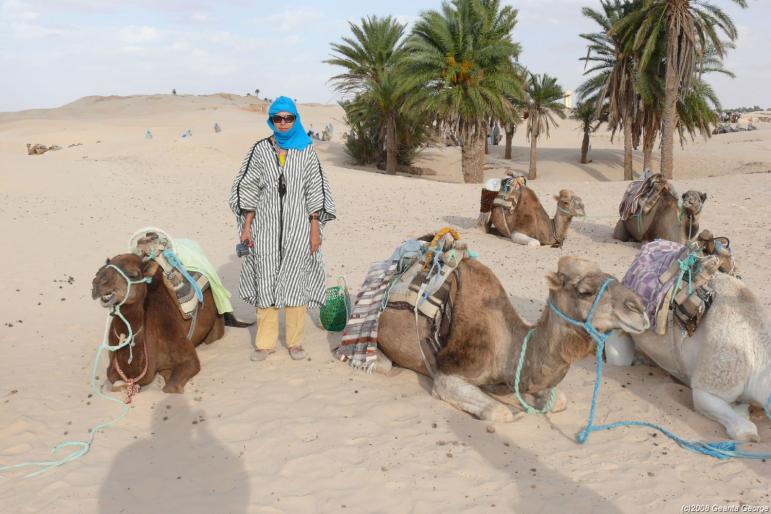 Tunisia_370 - Tunisia