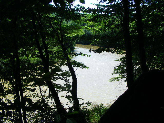 DSCF2452