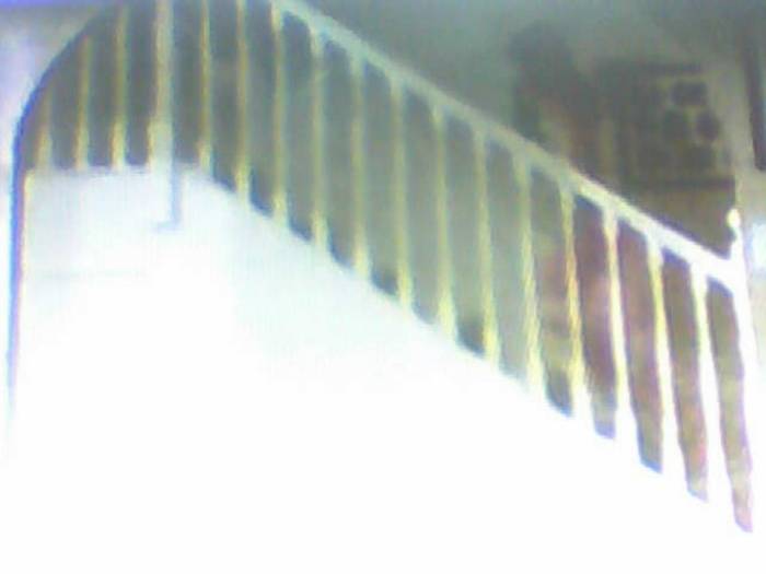 snapshot-386 - Sora lui Cleo Kim