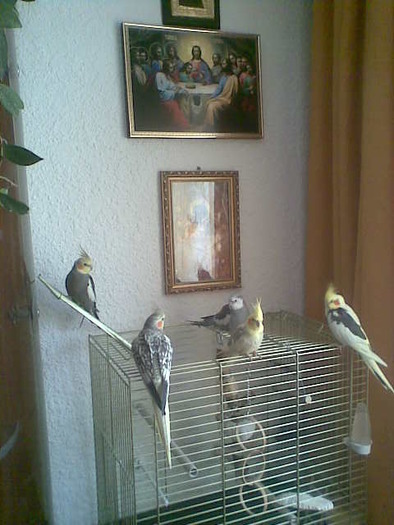 Image012
