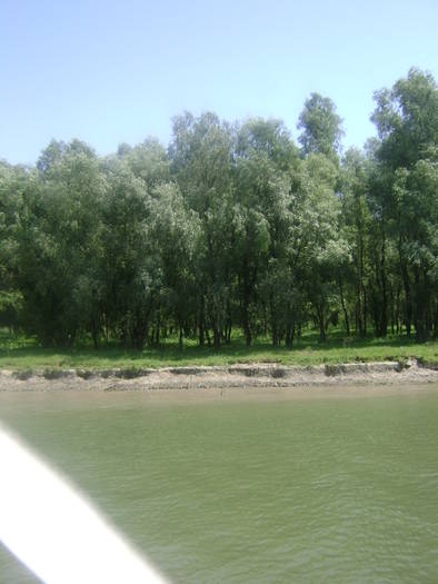 excursie delta dunarii 5062009 062 - EXCURSIE  in DELTA