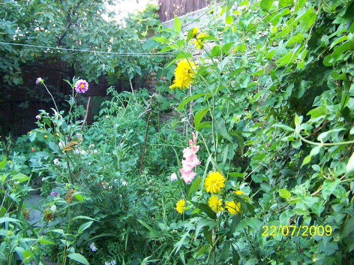 100_8440 - Iulie 2
