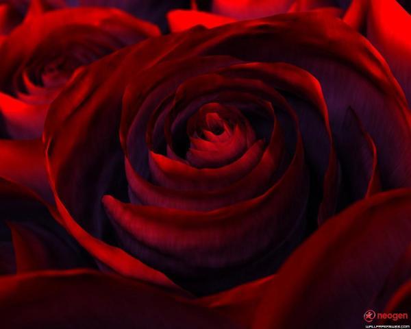 d743319b_0050000892443_00_600