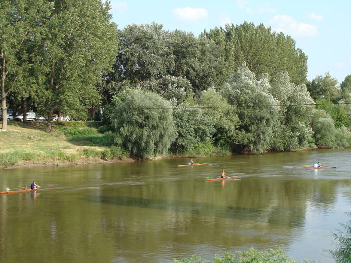 Memorial Sorin Lobont Editia a IX a (2008)