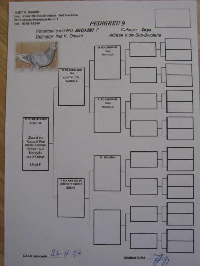 RO 581413-2007 F - 8-pedigree