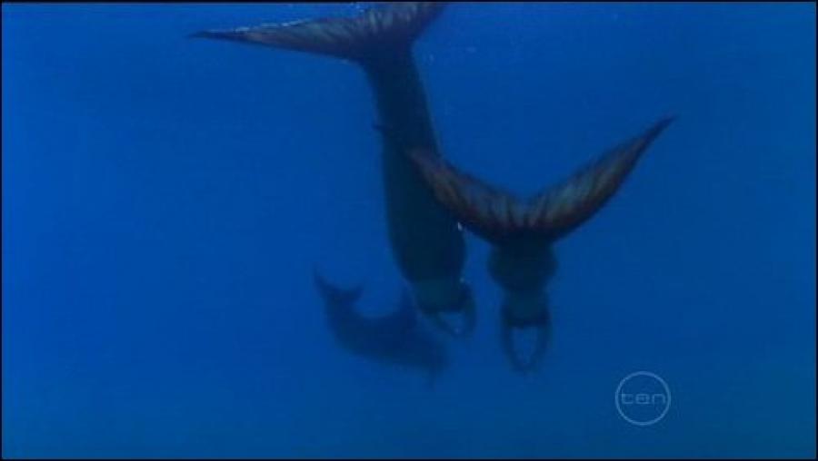 4601773334a6132219098l[1] - h2o