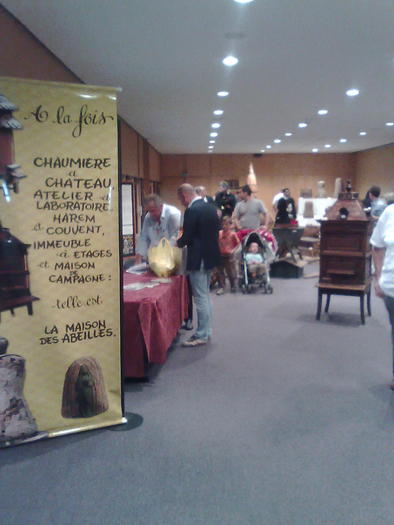 sala cu istoricele buduroaie si stupi primitivi - ApiMondia