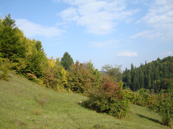 DSC03645 - SCHITU FRUMOASA BALCANI