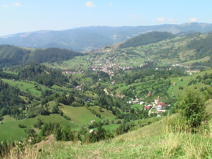 Panorama Moeciu de Jos