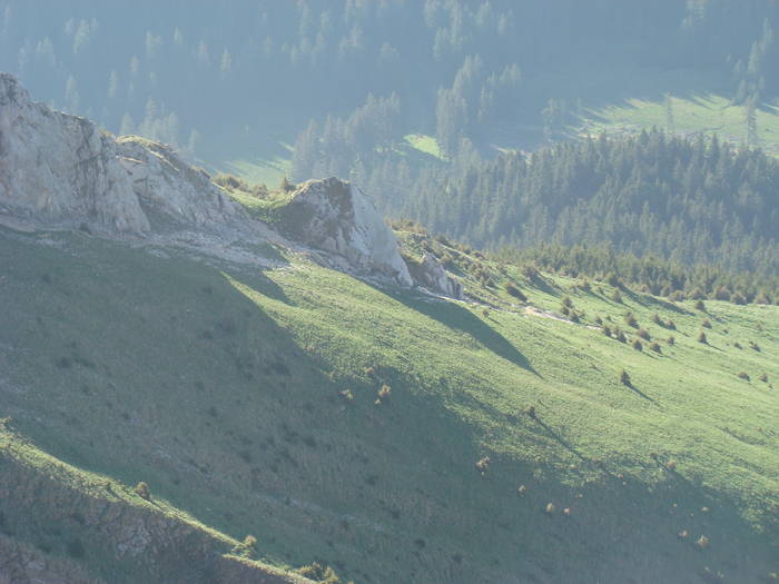 DSC03204 - Piatra Craiului MAI