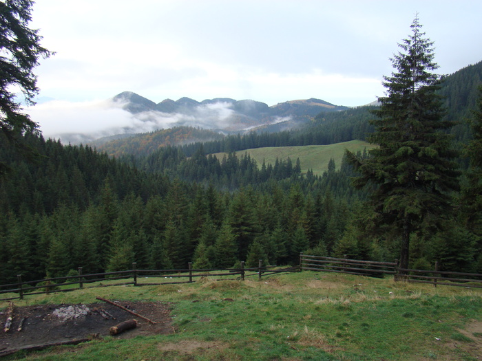 DSC04512 - Valea Crapaturii - Piatra Craiului