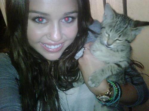 Miley again with cat - Miley Cyrus rare pictures