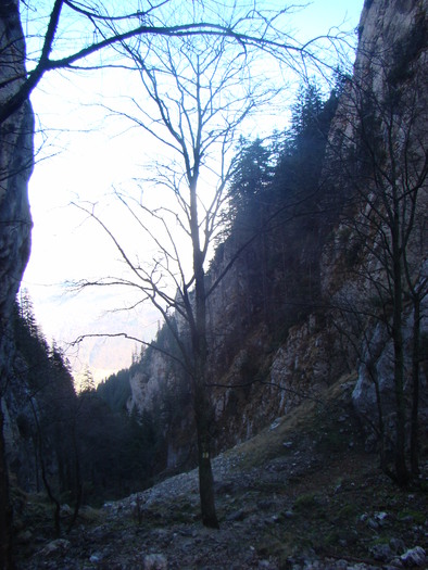 DSC04625