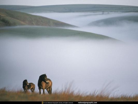 NGM1993_09p116-7