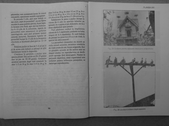 farmecul columbofiliei- bonatiu 051 - Carti despre Porumbei - - Books about Pigeons