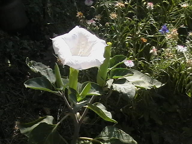 Picture 082
