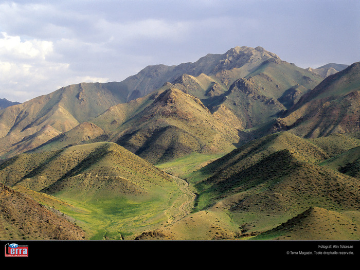 Ikh_Bogd_Mongolia - Peisaje Terra