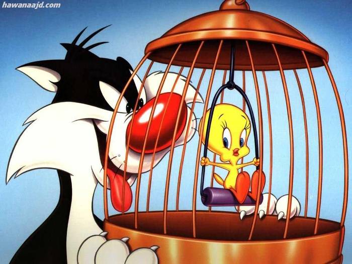 TWS3 - Tweety