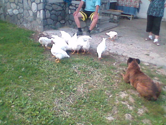 draganeasa09 099 - vacanta draganeasa 2009