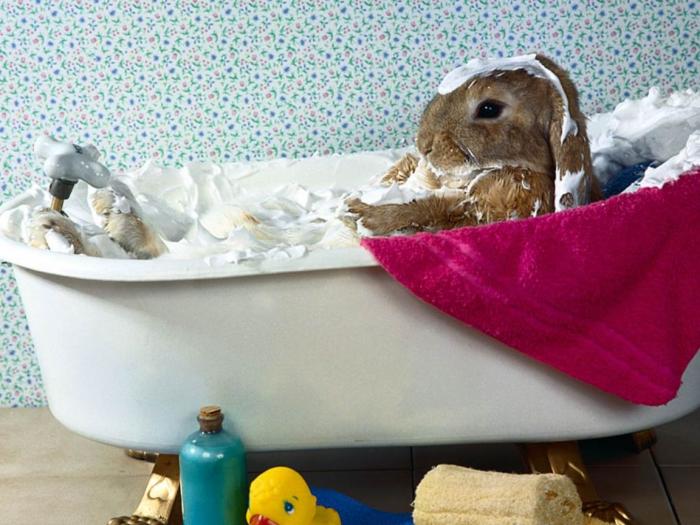 Bunny Bubble Bath