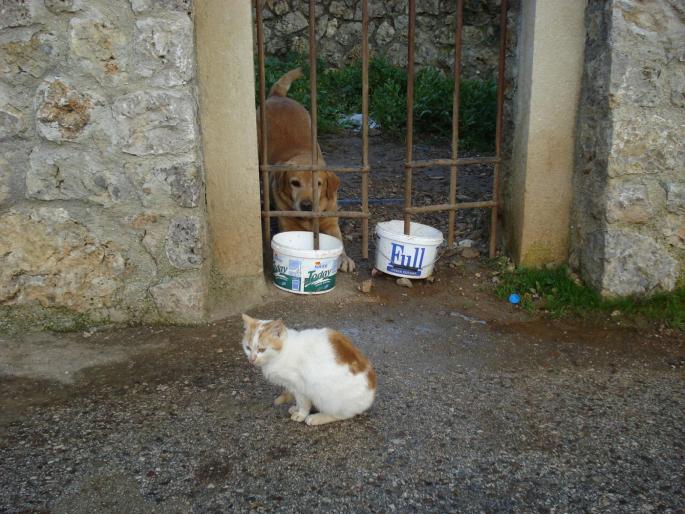 DSC07919 - 2008 REVELION CORFU