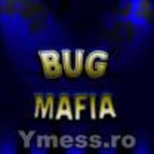 4 - Bug Mafia