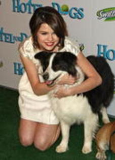 RISVRCFBKZYSPUFQKHV - Selena Gomez sh animalele