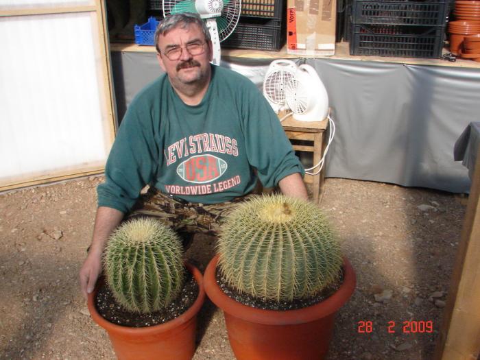 Echinocactus grusonii - 2008