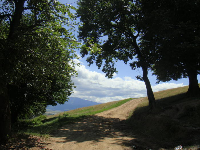 184 - vacanta 23  28 iulie 2009