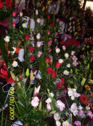 Piata de flori; daca nu ar fi fost bunici nu am fi noi...ANA .La multi ani!
