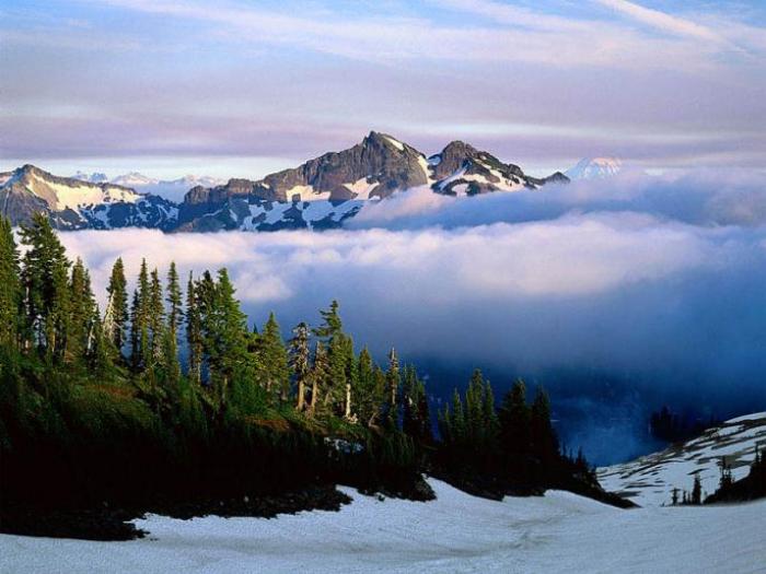 90897687675 - Peisaje