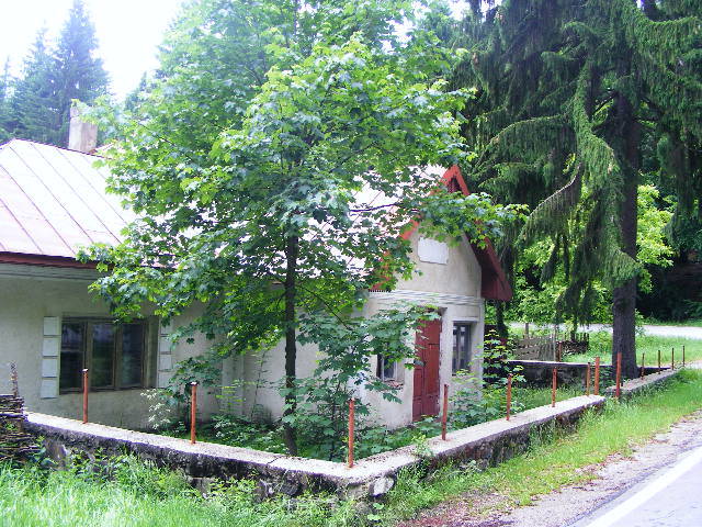 DSCF1884 - hai hui prin Maramures